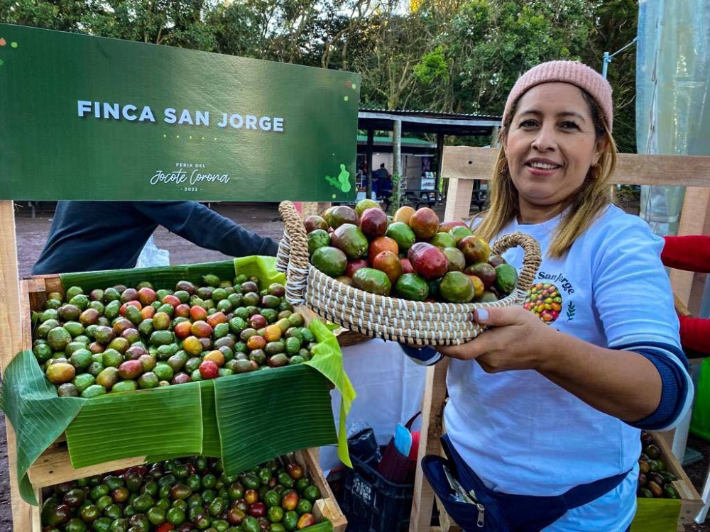 Jocote corona fresco en la Feria del Jocote de Cerro Verde