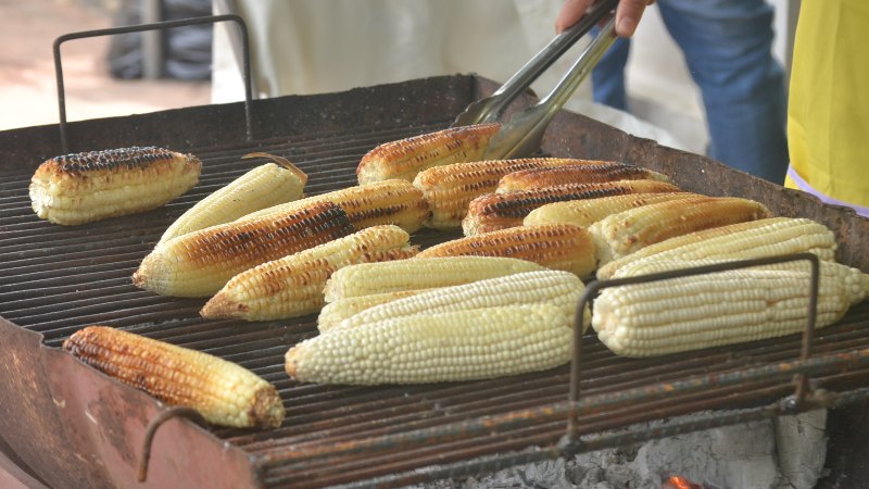 Mazorcas de maíz como símbolo del Festival del Maíz en Suchitoto