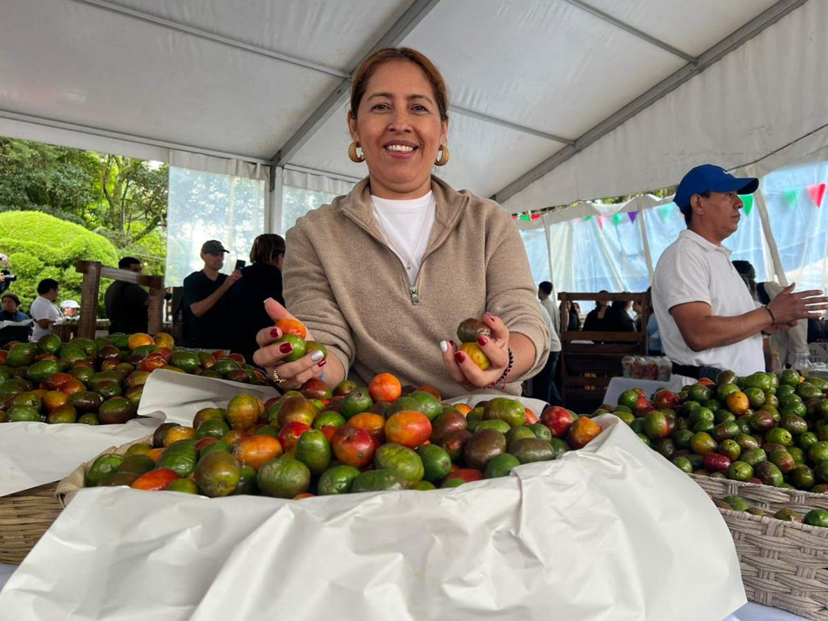 Festival del Jocote en Cerro Verde con jocote corona de temporada